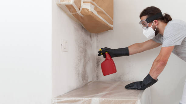Professional Mold Testing technician working in Breezewood, PA