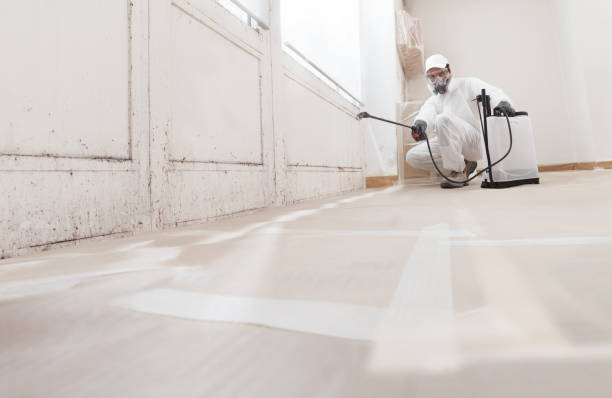 24/7 Emergency Mold Testing experts in Breezewood, PA
