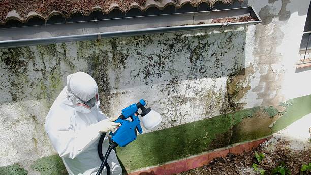Top rated local Mold Remediation specialists in Breezewood, PA